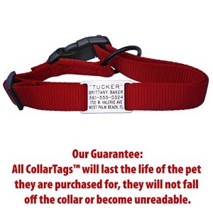 Boomerang Silent Pet ID Tags – Personalized Stainless Steel