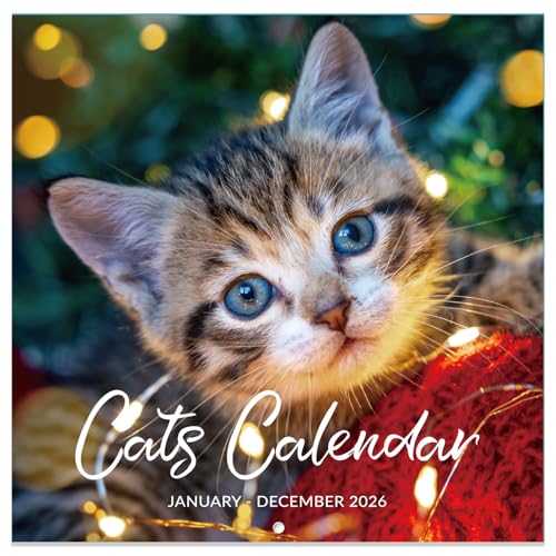 2026 Cutie Cat Wall Calendar: 12-Month Planner