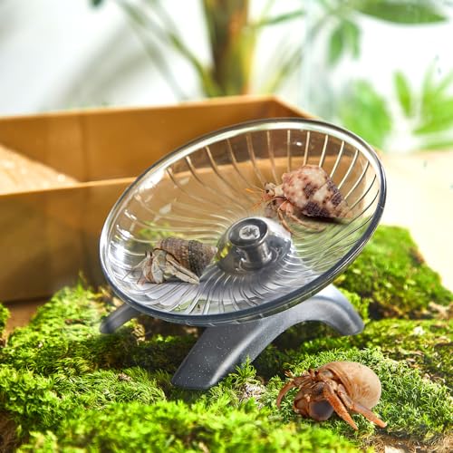 Poen Hermit Crab Exercise Wheel - Silent Flying Saucer - Image 4