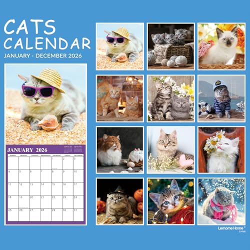 2026 Cutie Cat Wall Calendar: 12-Month Planner - Image 5