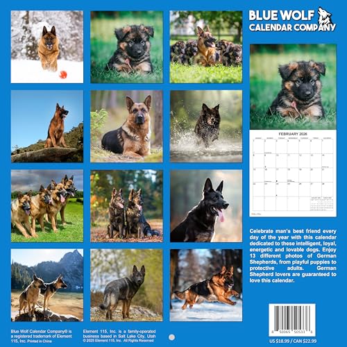 German Shepherds 2026 Monthly Wall Calendar - Image 4