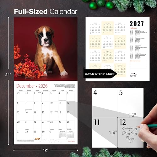 MICASA PRESS Boxer Puppies 2026 Wall Calendar - Image 5
