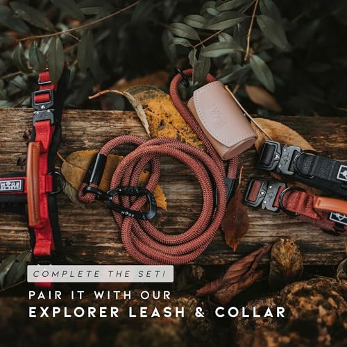 Premium Explorer Dog Harness - Y-Shaped, Padded Nylon - Image 5