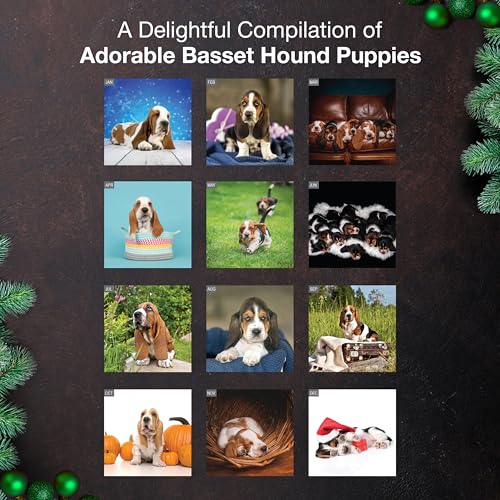 Basset Hound Puppies 2026 Wall Calendar - Thick & Giftable - Image 3