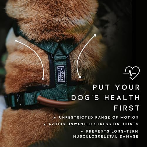 Premium Explorer Dog Harness - Y-Shaped, Padded Nylon - Image 4