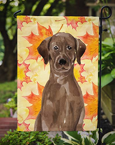 Chocolate Lab Fall Garden Flag - Outdoor Decor - Image 4