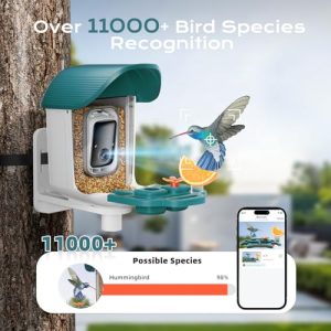 Solar Bird Feeder with AI Camera – Smart Bird Watching
