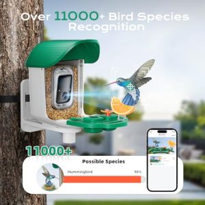 Solar Powered Bird Feeder Camera 2K AI Alerts