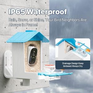 Smart Solar Bird Feeder with 2K HD Camera & AI ID