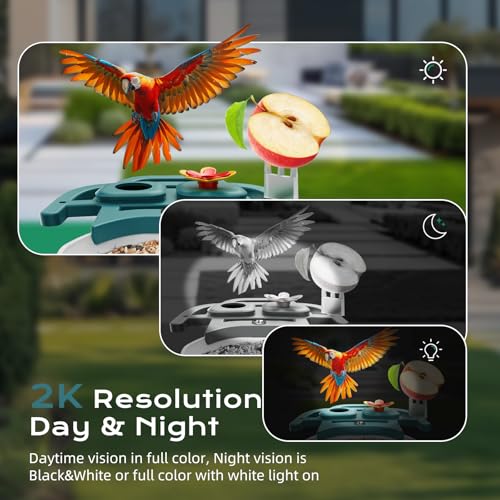 Solar Bird Feeder with AI Camera - Smart Bird Watching - Image 5