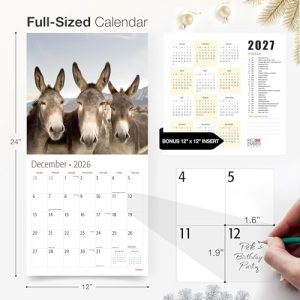 RED EMBER Donkeys 2026 Wall Calendar, 12″x24″ Open