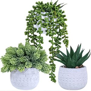 Winlyn 3 Pcs Artificial Potted Succulent Plants Decor