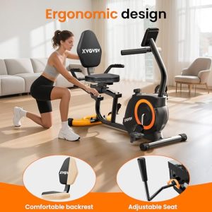 Quiet Recumbent Exercise Bike for Home Use, 400LB Support
