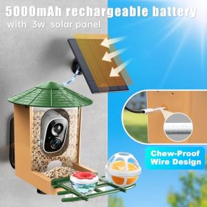 Smart Solar Bird Feeder Camera AI 2K Chew-Proof