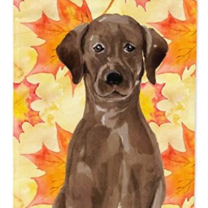 Chocolate Lab Fall Garden Flag – Outdoor Decor