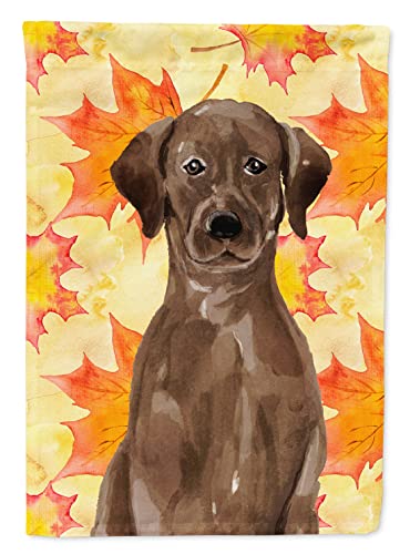 Chocolate Lab Fall Garden Flag - Outdoor Decor