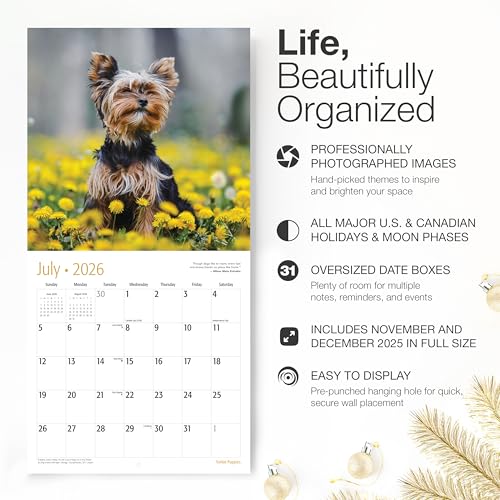 RED EMBER Yorkie Puppies 2026 Wall Calendar, 12"x24" - Image 3