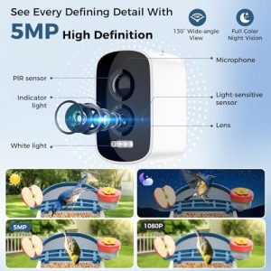 Smart Solar Bird Feeder Camera 5MP AI Night Vision