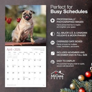 Pugs 2026 Wall Calendar – 12-Month, 12×24, Giftable