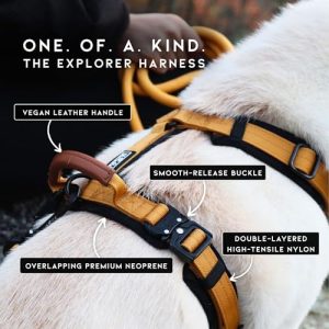 Premium Explorer Dog Harness – Y-Shaped, Padded Nylon