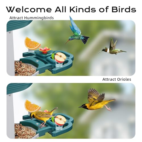 Solar Bird Feeder with AI Camera - Smart Bird Watching - Image 7