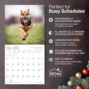 MICASA German Shepherds 2026 Wall Calendar, 12″x24″ Open