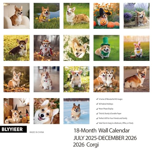 Corgi 2026 Wall Calendar - Family Planner for Dog Lovers - Image 3