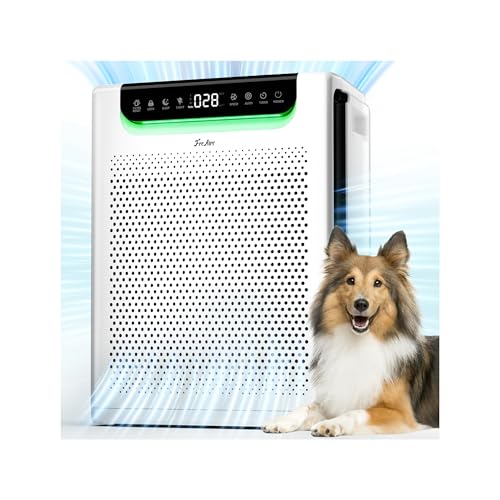 HAP607 Air Purifier: Large Room, Pets, Smoke & Odors