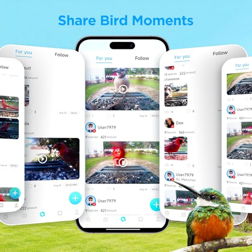 Vakiav Solar Smart Bird Feeder Camera - 2K HD, AI Bird ID - Image 4