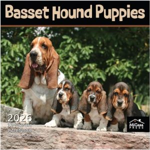 Basset Hound Puppies 2026 Wall Calendar – Thick & Giftable