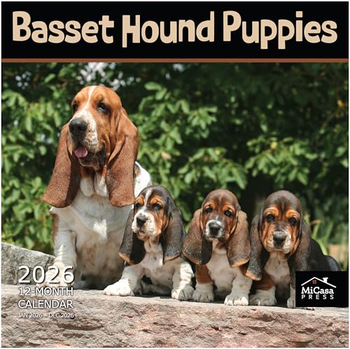 Basset Hound Puppies 2026 Wall Calendar - Thick & Giftable