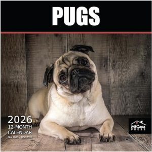 Pugs 2026 Wall Calendar – 12-Month, 12×24, Giftable