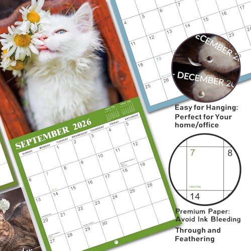 2026 Cutie Cat Wall Calendar: 12-Month Planner - Image 4