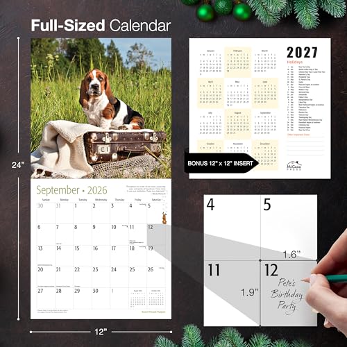 Basset Hound Puppies 2026 Wall Calendar - Thick & Giftable - Image 5