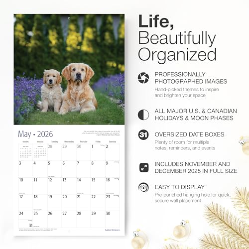 RED EMBER Golden Retrievers 2026 Wall Calendar, 12"x24" - Image 3