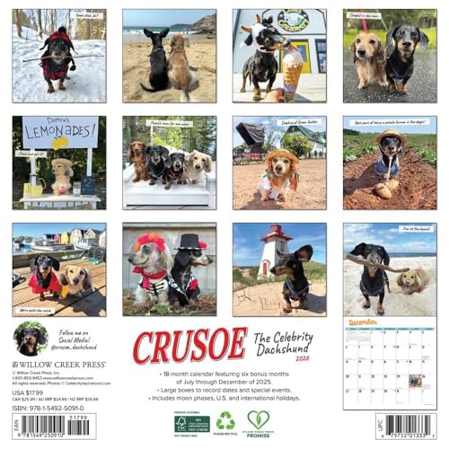Crusoe the Celebrity Dachshund 2026 Wall Calendar - Image 2