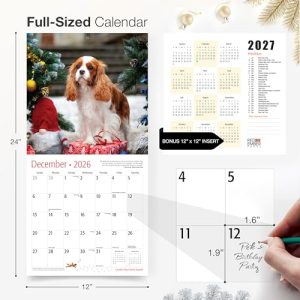 RED EMBER Cavalier King Charles Spaniels 2026 Calendar