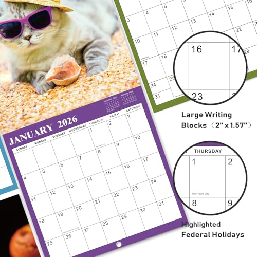 2026 Cutie Cat Wall Calendar: 12-Month Planner - Image 3