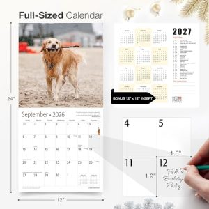 RED EMBER Golden Retrievers 2026 Wall Calendar, 12″x24″