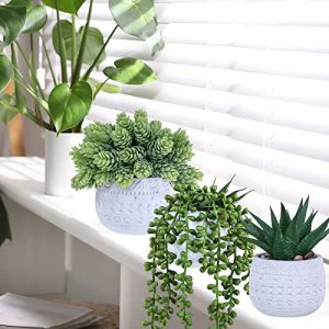 Winlyn 3 Pcs Artificial Potted Succulent Plants Decor