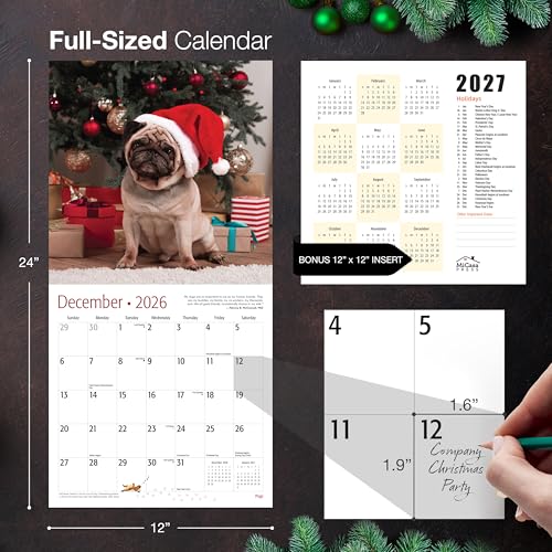 Pugs 2026 Wall Calendar - 12-Month, 12x24, Giftable - Image 5
