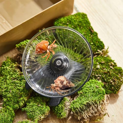 Poen Hermit Crab Exercise Wheel - Silent Flying Saucer - Image 5