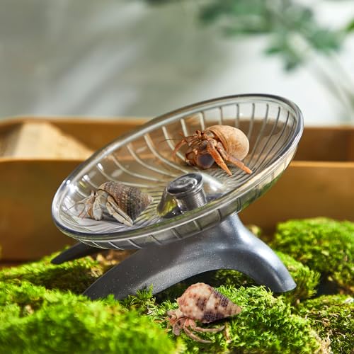 Poen Hermit Crab Exercise Wheel - Silent Flying Saucer - Image 6