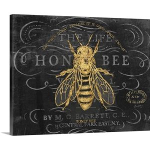 Honey Bee Canvas Wall Art Print by Chad Barrett, 24″x20″