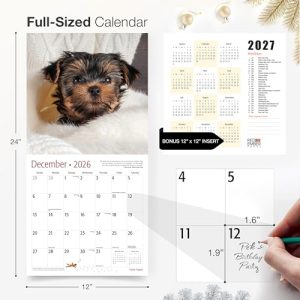 RED EMBER Yorkie Puppies 2026 Wall Calendar, 12″x24″