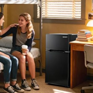 EUHOMY 3.2 Cu.Ft Mini Fridge with 2-Door Freezer – Black