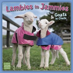 2025 Wall Calendar: Lambies in Jammies & Goats in Coats