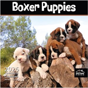 MICASA PRESS Boxer Puppies 2026 Wall Calendar