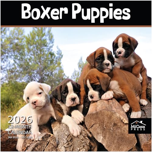 MICASA PRESS Boxer Puppies 2026 Wall Calendar