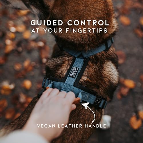 Premium Explorer Dog Harness - Y-Shaped, Padded Nylon - Image 7